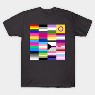 LGBT+ Prid Flags T-Shirt